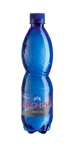Magnesia neperlivá 12x0,5l
