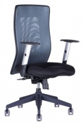 Židle CALYPSO XL 1211 tmavě šedá