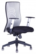 Židle CALYPSO XL 12A11 světle šedá