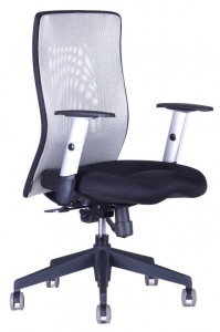 Židle CALYPSO XL SP4 12A11 světle šedá