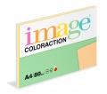 COLORACTION A4 80 g 5 x 20 listů Mix barev