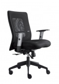 Kancelářská židle LEXA s područkami